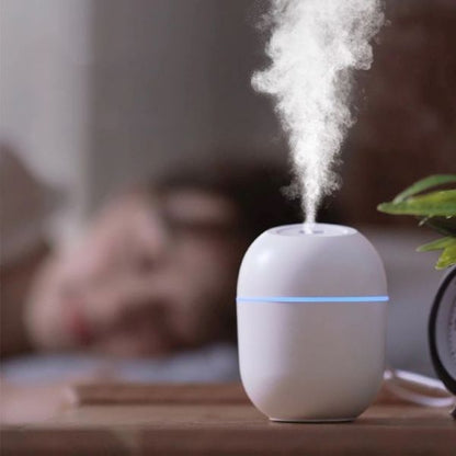 Mini Portable Ultrasonic Humidifier